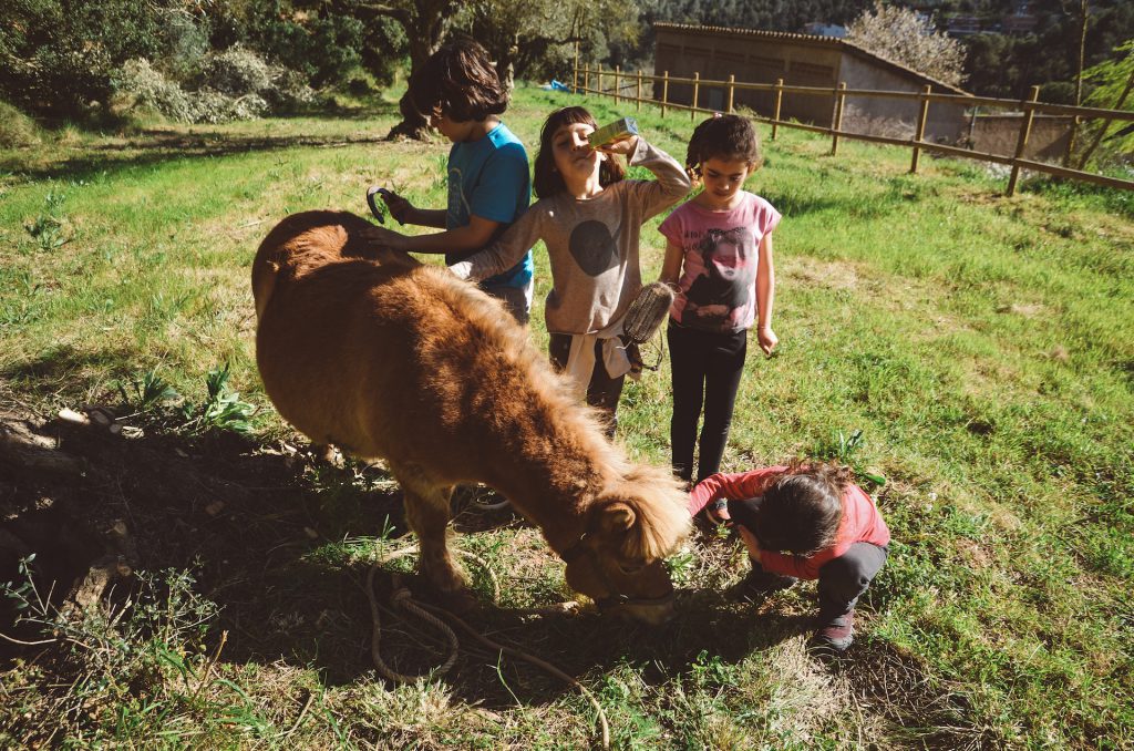 Nens escola jugant amb el poni