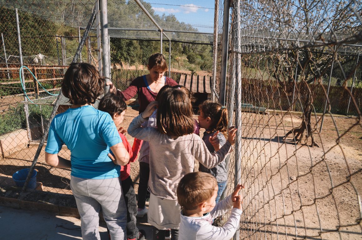 Nens escola visitant la Granja